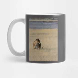 Lion in the grass. Mug